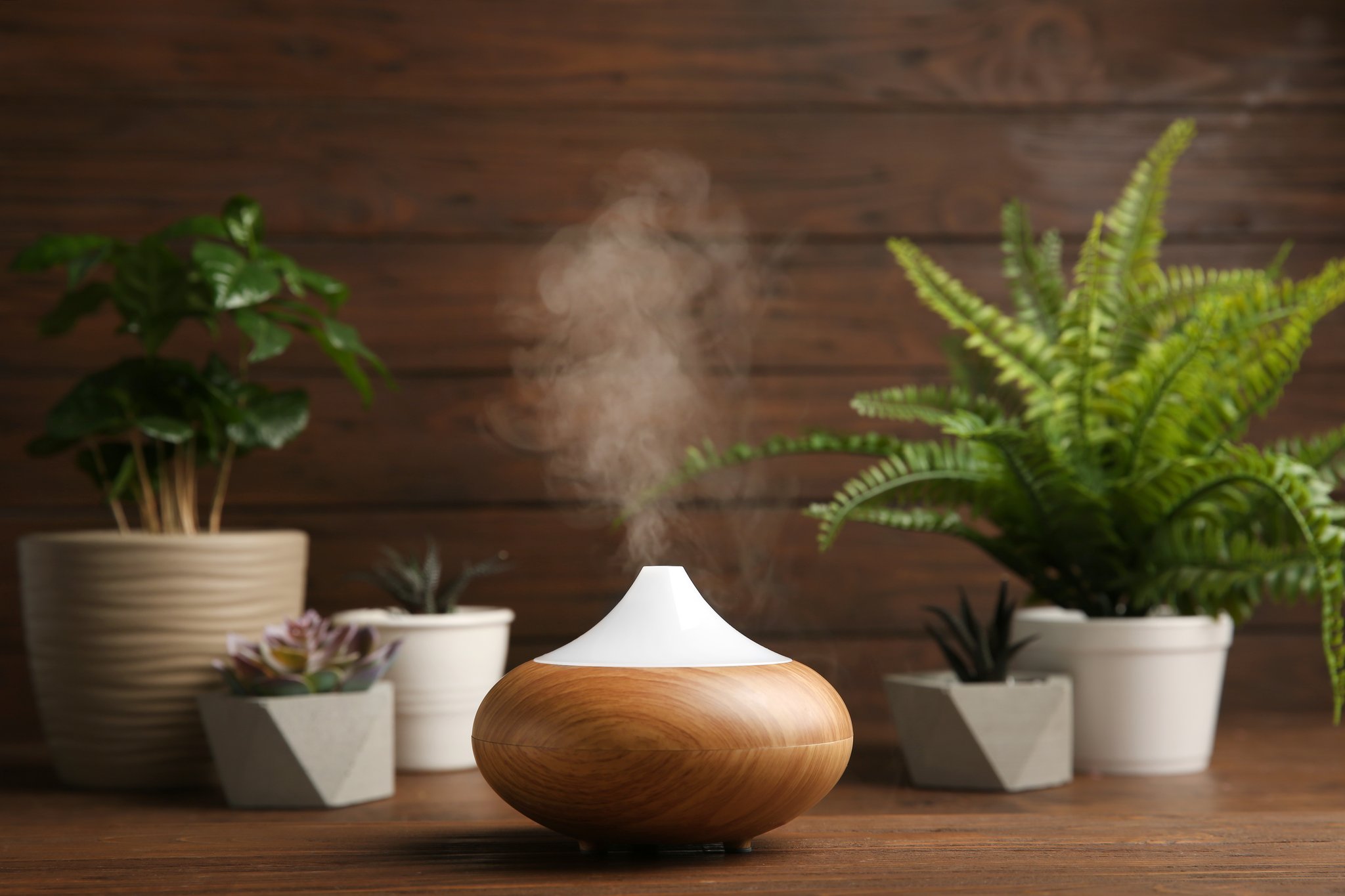 Best aromatherapy oil diffusers UK 2021: what do oil ...