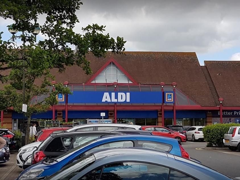 Car dog guards sales aldi